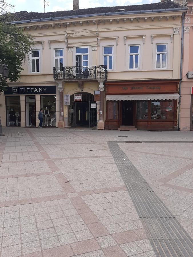 Apartmani Sara Novi Sad Exteriér fotografie